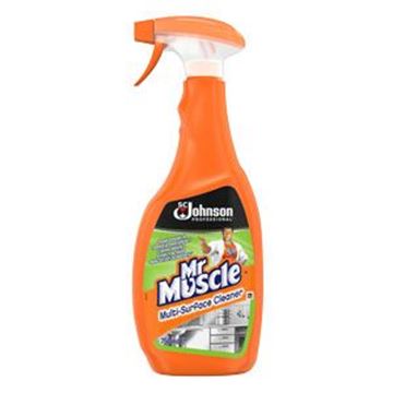 MR MUSCLE MULTI SURFACE CLEANER