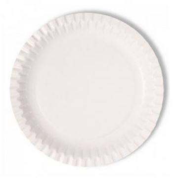 PAPER PLATE