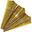 GOLD HOLOG ADULT PARTY ACCESSORIES