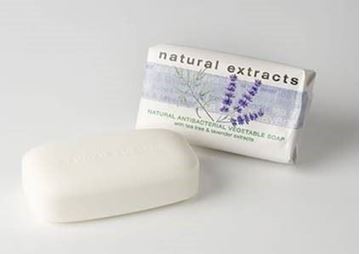 NATURAL EXTRACT SOAP