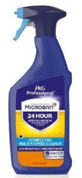 Picture of PROFESSIONAL MICROBAN 24 - CITRUS